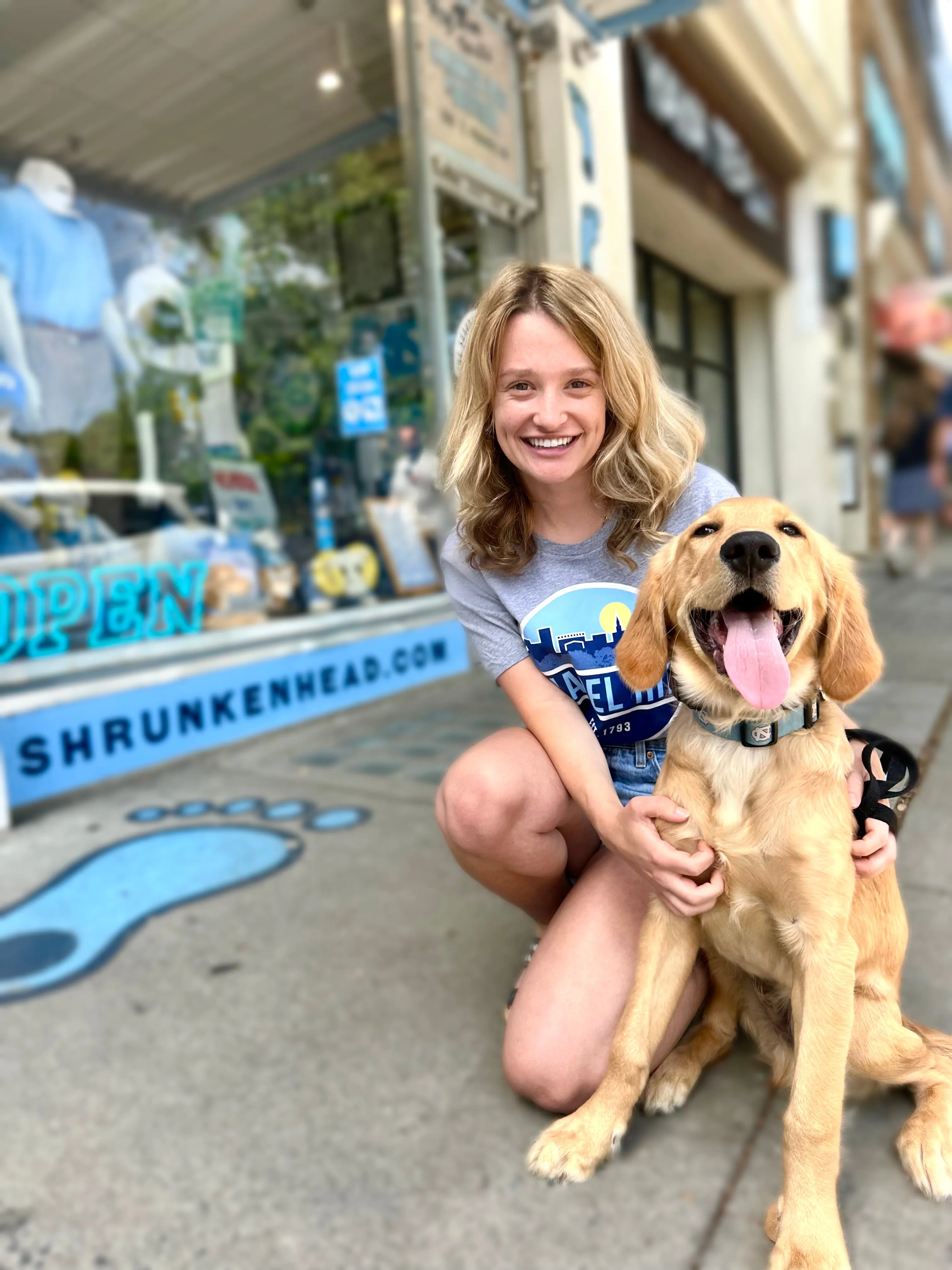 UNC Dog Collar in Carolina Blue