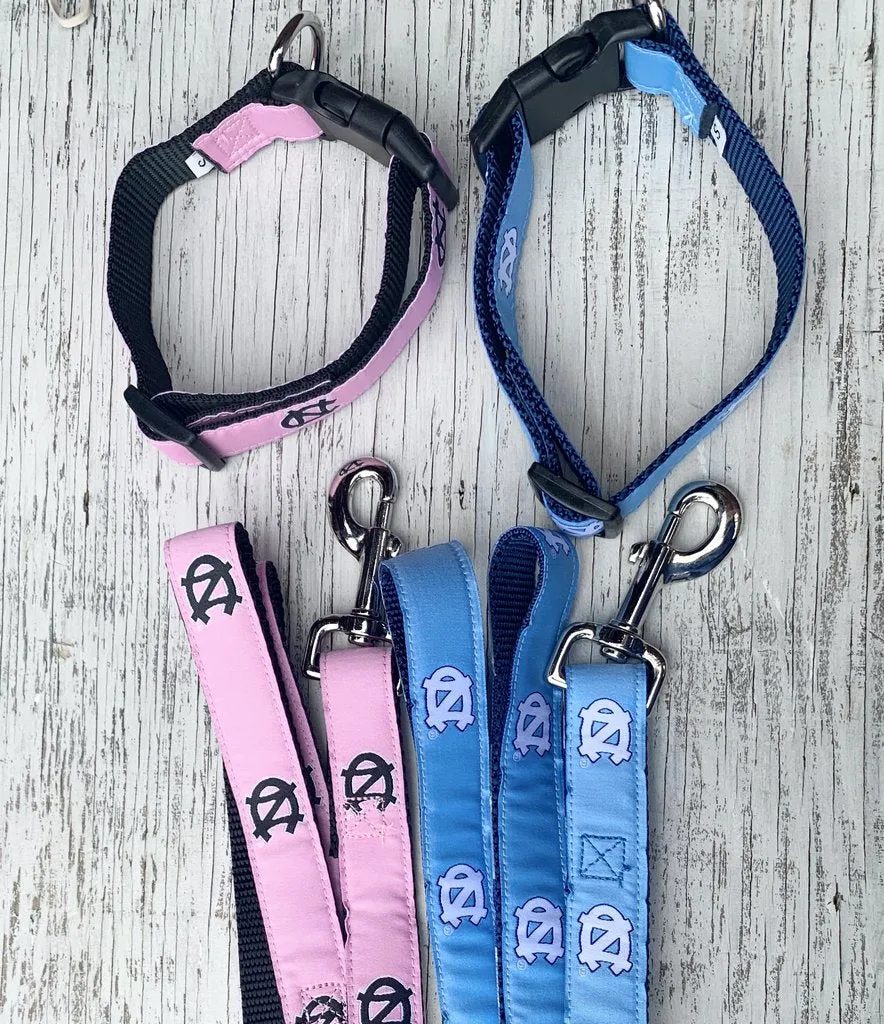 UNC Dog Collar in Carolina Blue